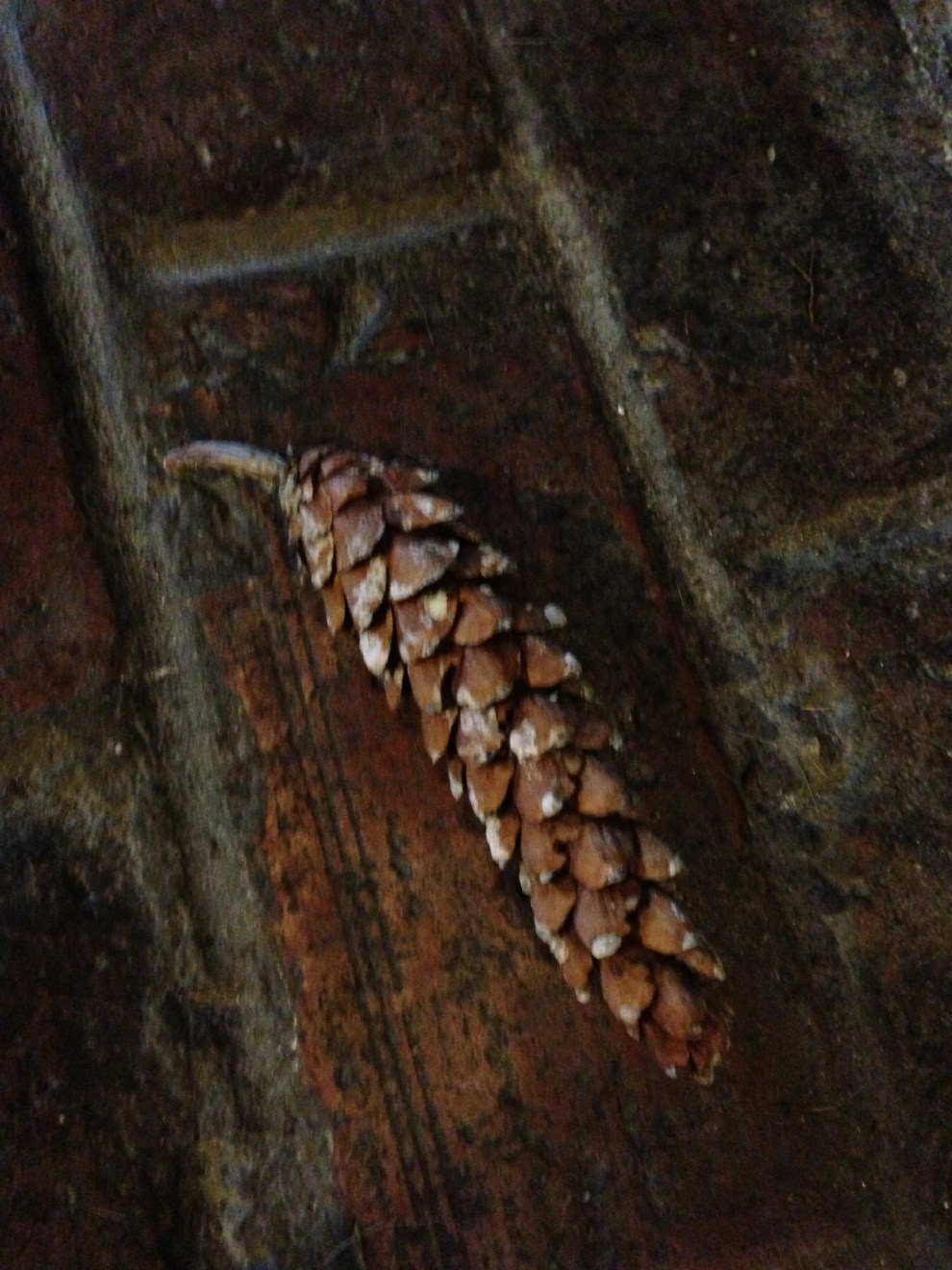 cone