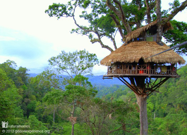 Laos treehouse