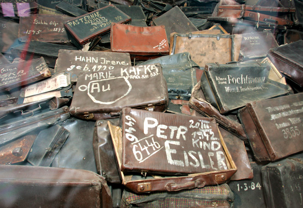 Auschwitz color suitcases