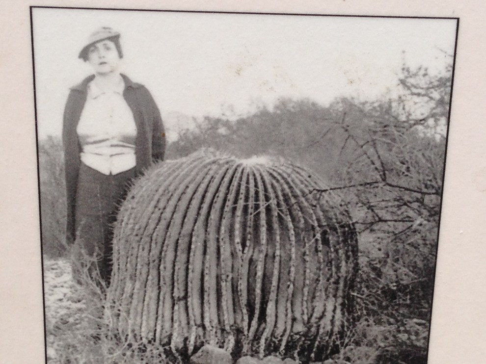 historical desert garden