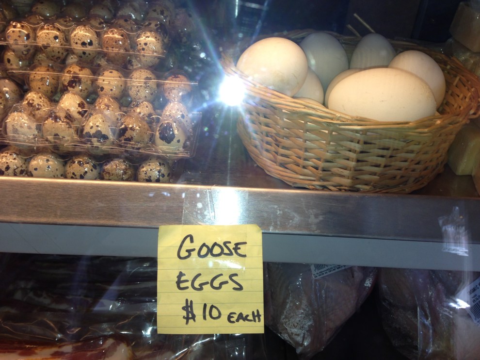 goose eggs