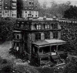 minniesland eventually