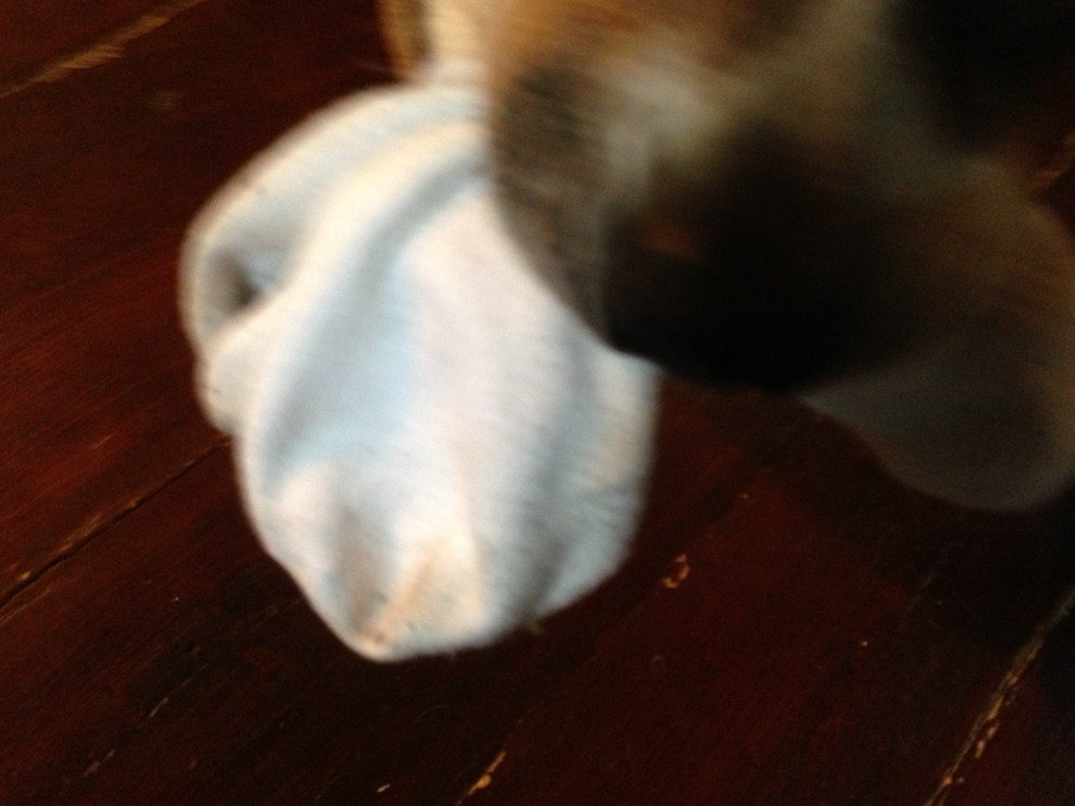 Ollie nose sock