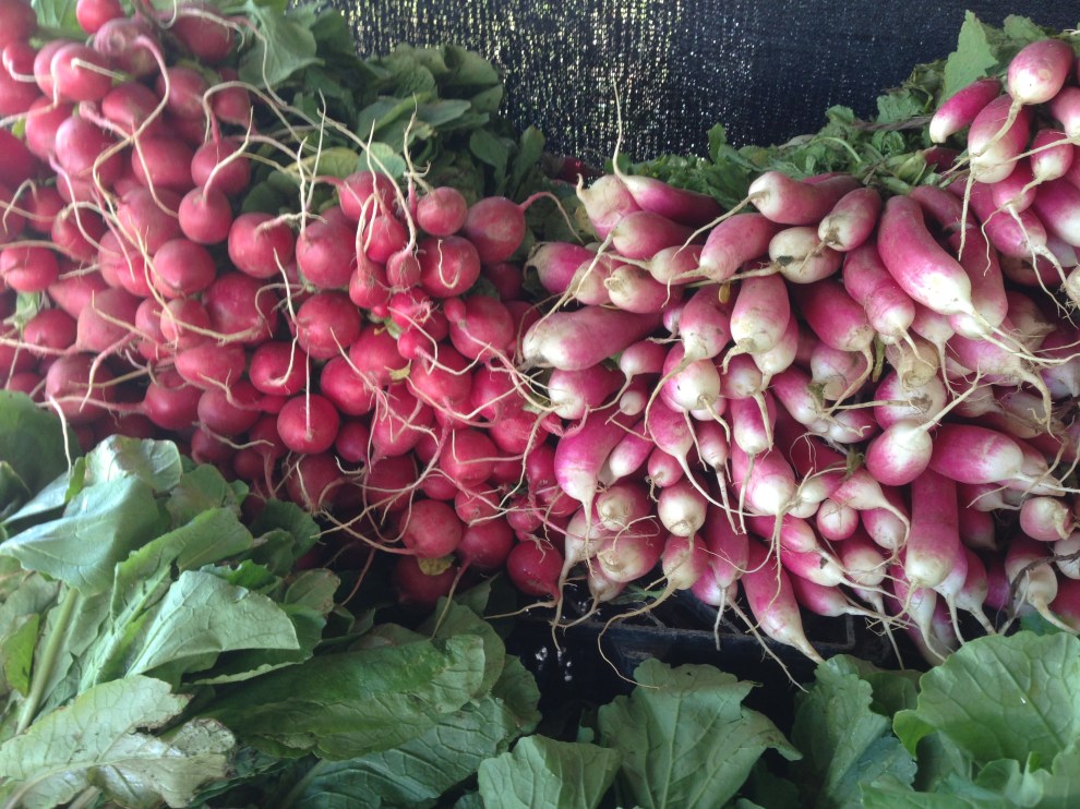 radishes