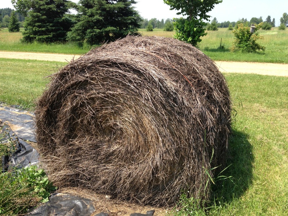 hay bale