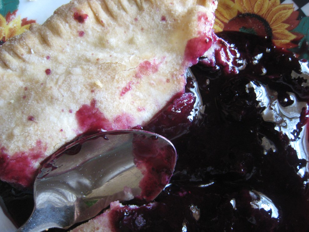 blueberry pie cut