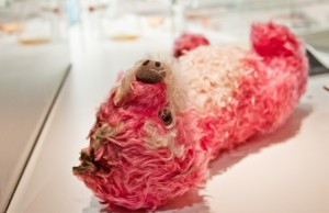 BreBa-Pink-teddy-640x415-300x194