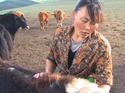 living-with-herds-vocalisation-dictionary-natasha-fijn-2