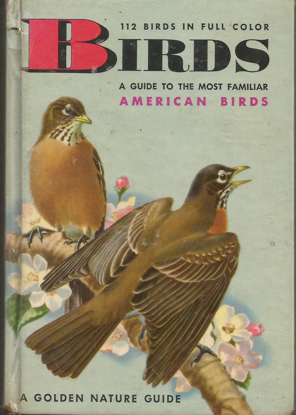 Bird cover