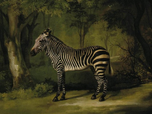 stubbs-zebra