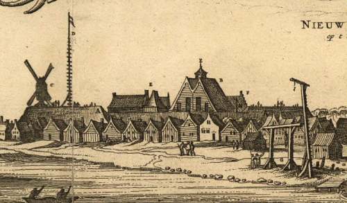 nieuw amsterdam