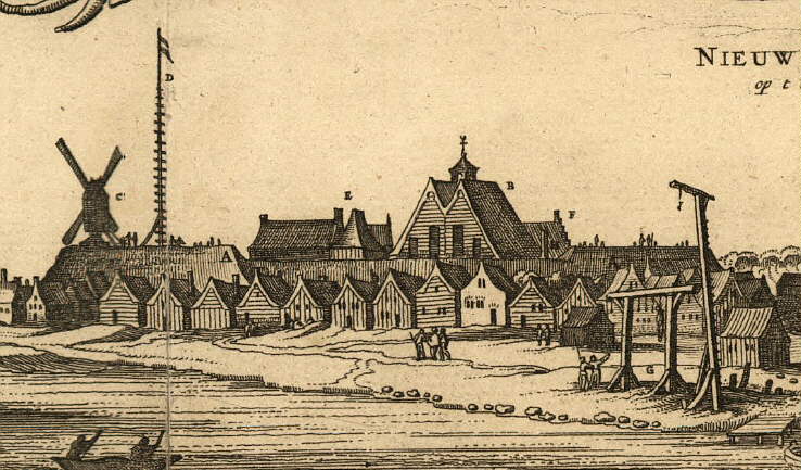 nieuw amsterdam