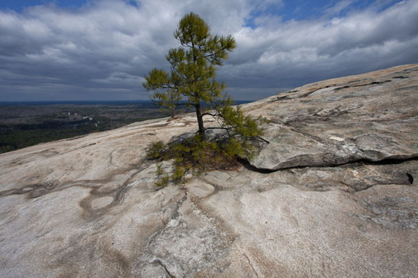 georgia's stone mountain