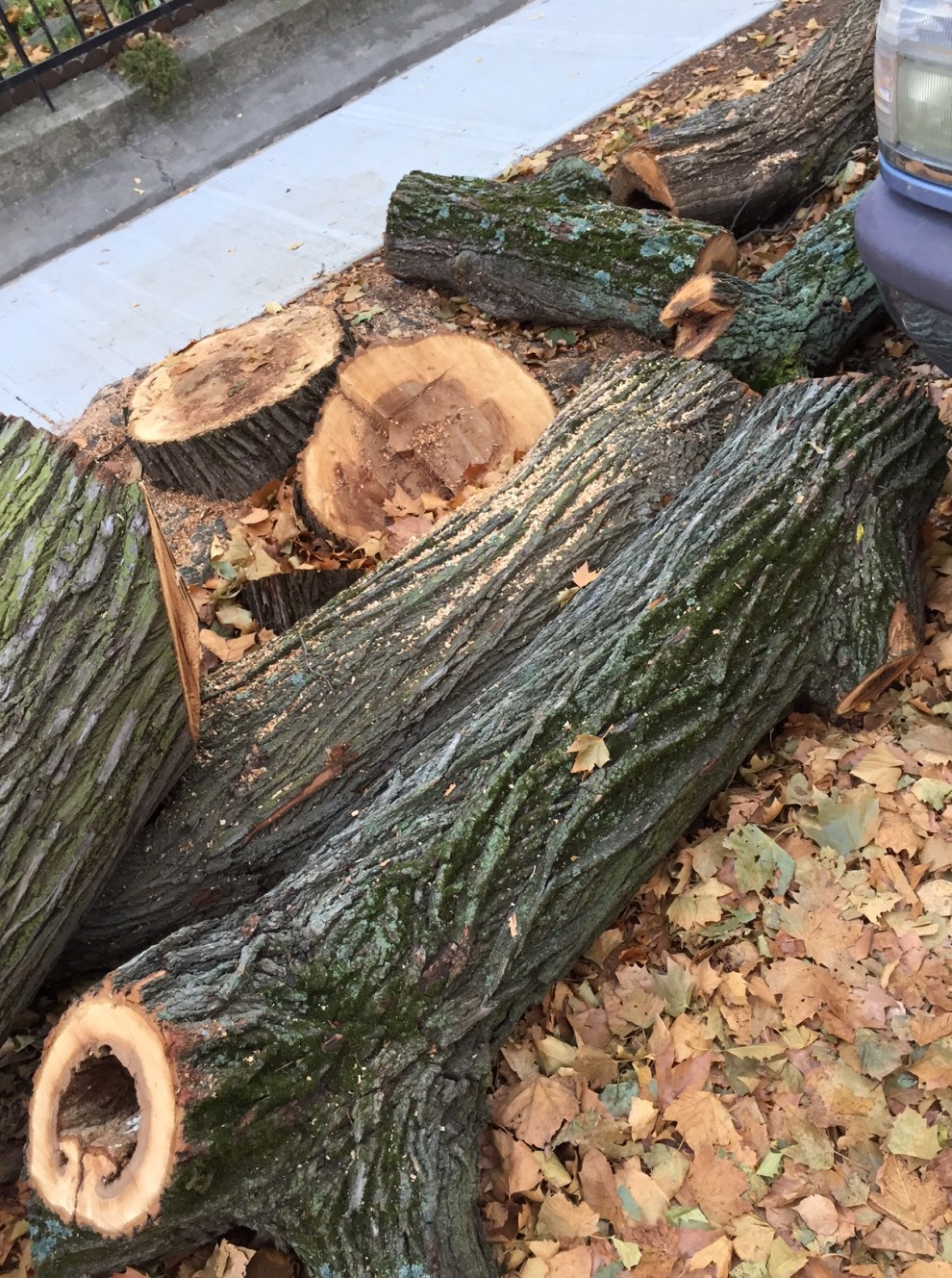 1)551 78 St, Brooklyn