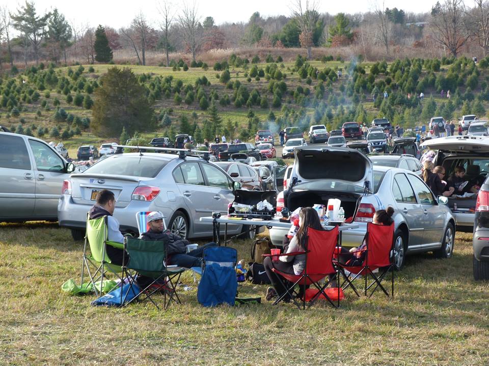 tailgate