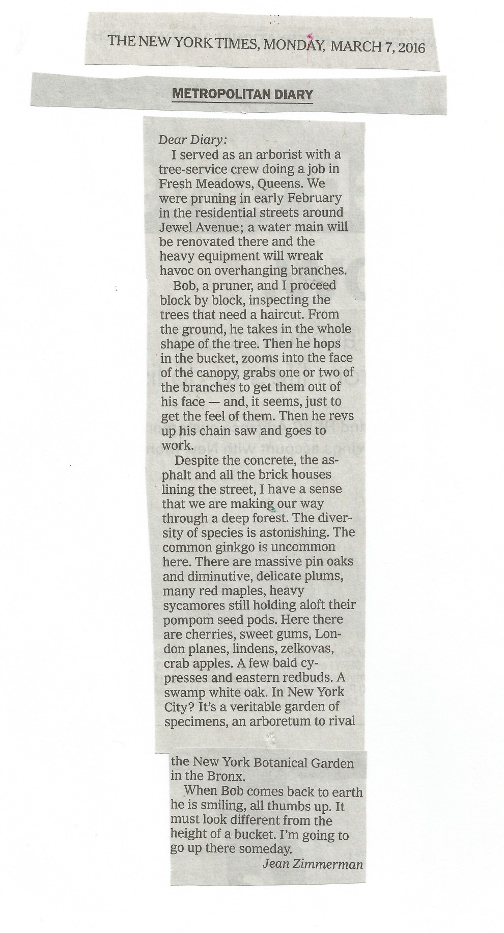 Met Diary Jean Zimmerman.jpeg